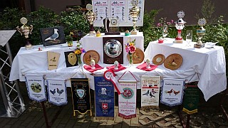Ehrungen Ehrungen